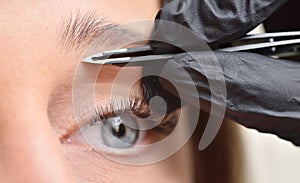 Eye and eyebrow of a young woman and tweezers, eyebrow correction procedure