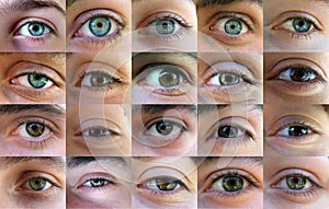 Eye, eyes - many eyes photo