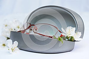 Eye glasses with cherry blosson flowers