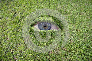 Eye in grass