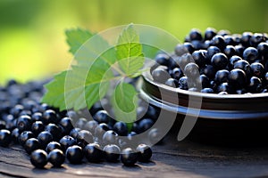 Eye Health Boost. Blueberries and Bioactive Supplement Pills for Clear Vision on Lush Green Background photo