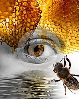 An eye and honey comb texture in it and bees