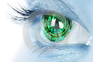 Eye iris and electronic circuit