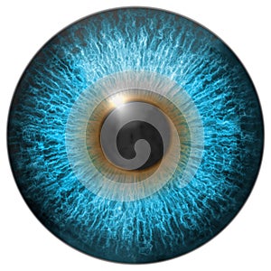 Eye iris generated hires texture