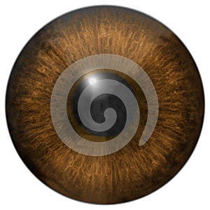 Eye iris generated hires texture photo