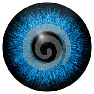 Eye iris generated hires texture photo