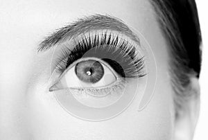 Eye lashes, lash extension woman lashes close up macro monochrome