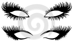 Eye lashes vector. Beautiful black long eyelashes.