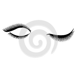 Eye lashes vector . Lashes vector. Open and close lashes
