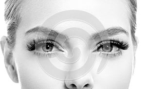 Eye lashes woman beauty face macro monochrome