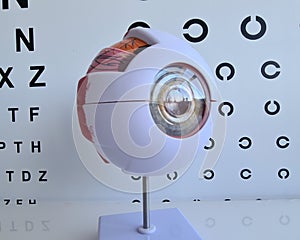 Eye layout and ophthalmologist table for checking vision