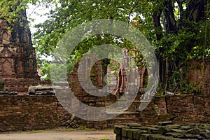 Eye-level shot of the Wat Yai Chaimongkol temple yard in Ayutthaya, Thailand