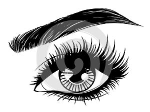 Eye with long eyelashes and brows