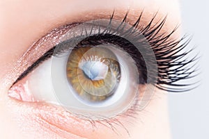 Eye with long eyelashes close-up. Eyelash lamination, extensions, cosmetology, ophthalmology concept