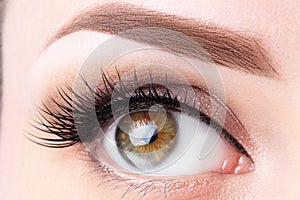 Eye with long eyelashes and light brown eyebrow close-up. Eyelashes lamination, microblading, tattoo, permanent, cosmetology, photo