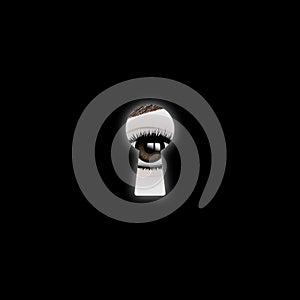 The eye looks into the keyhole. Realistic vector illustration