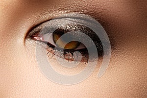 Eye makeup. Beautiful eyes retro style make-up. Holiday makeup d