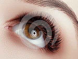 Eye Makeup . Closeup macro shot of fashion eyes visage. Close up of woman eye with beautiful brown with black shades