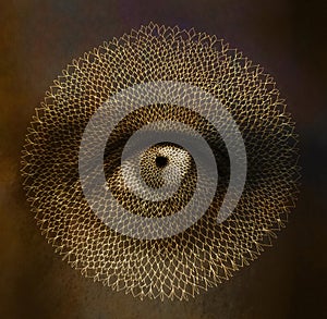 Eye mandale design with a snake effect
