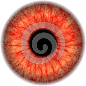 Eye map
