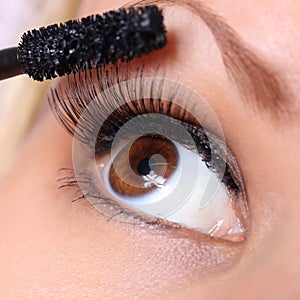 Eye and mascara brush. beautiful woman brown eye