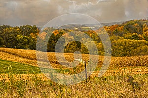 The Eye Popping Colors of Iowa Farmland.