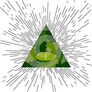 Eye of Providence. Masonic symbol.