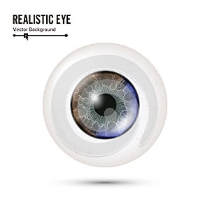 Eye Realistic. Vector Illustration Of 3d Human Glossy Photo Rrealistic Eye With Shadow And Reflection. Front View