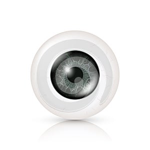 Eye Realistic. Vector Illustration Of 3d Human Glossy Photo Rrealistic Eye With Shadow And Reflection. Front View