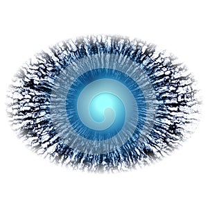 Eye RTG. Animal eye in rentgen photo with blue purple iris, light reflection.