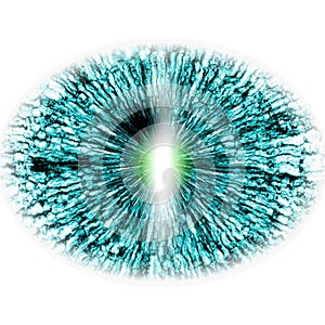 Eye RTG. Middle size of open eyes.. Illustration of eye photo