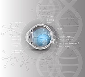Eye scientific DNA background