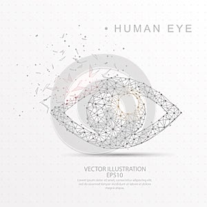 Eye shape digitally drawn low poly wire frame.
