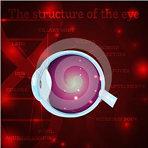Eye structure red