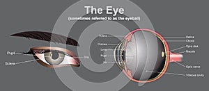 Eye system