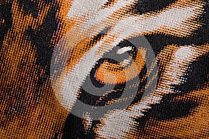 Eye of the tiger print on a canvas