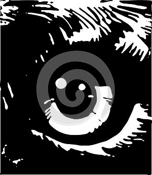 Eye Of The Tiger Vector 01. Illustration Isolated On White Background.