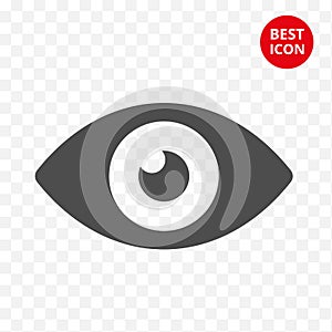 Eye vector icon. Graphic eye concept. Minimalistic style. Flat design isolated. For mobile applications ophthalmologist pharmacy