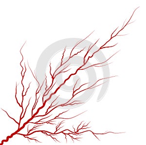 Eye vein red vector symbol icon design.