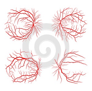 Eye vein set system x ray angiography vector design isolated on photo