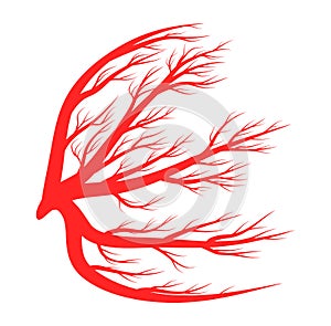 Eye veins, blood, vessels vector symbol icon design.