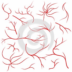 Eye veins. Human eye vessels, blood arteries set. Medical eyeball vein arteries system
