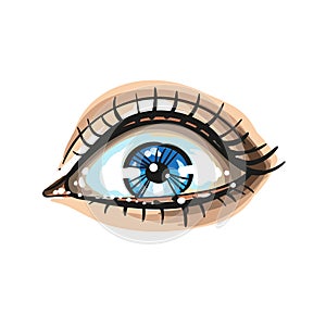 Eye on white background. logo. Vector illustration photo