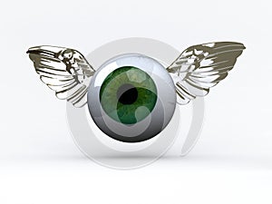 Eye with wings that fly