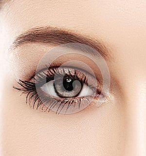 Eye woman eyebrow eyes lashes