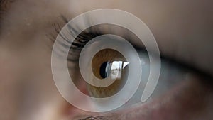 Eye of a woman side view, reflection of a window, brown eyes, macro shoot