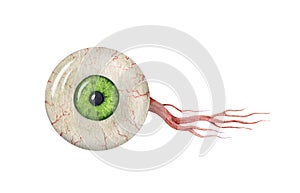 Eyeball with optic nerve. Watercolor illustration. Green iris realistic eye human element. Close up eye ball with ocular