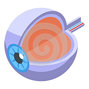 Eyeball perception icon isometric vector. Visual memory