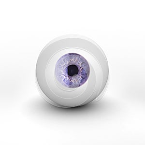 Eyeball with shadow on white background