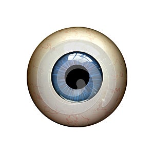 Eyeball